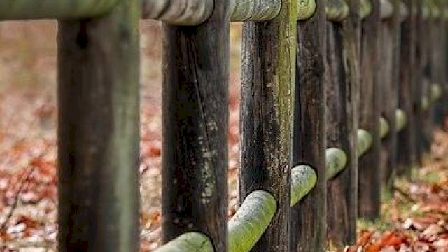 Quo voluptatem inventore quo animi et.