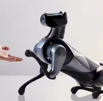 China Buat Robot Anjing Sebagai Peliharaan Masa Depan