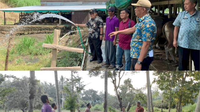 Verifikasi calon kelompok penerima bantuan “Kegiatan Kampung Ternak” di Kabupaten Barru