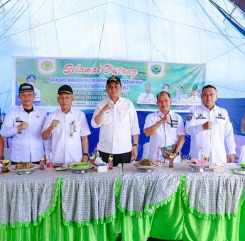 Tanam Padi Perdana, Bupati Barru: Alhamdulilah Masih Surplus