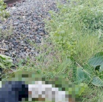 Kakek 75 Tahun Tewas Tertabrak Kereta Api Trans-sulawesi di Barru