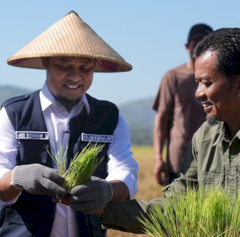 Andi Sudirman Berhasil Bawa Sulsel Surplus Beras 2,08 Juta Ton, Tertinggi se Indonesia