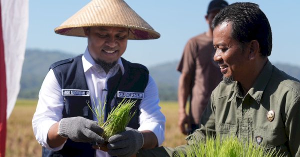 Andi Sudirman Berhasil Bawa Sulsel Surplus Beras 2,08 Juta Ton, Tertinggi se Indonesia