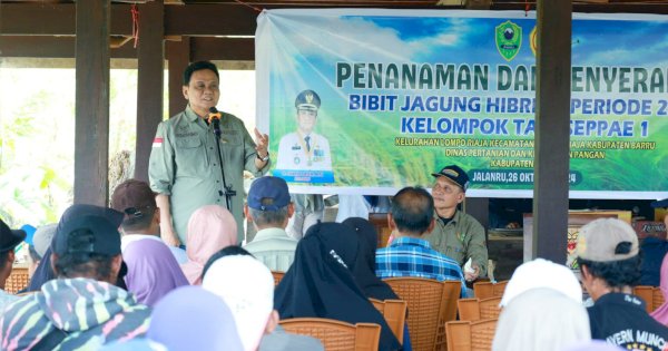 Tanam Jagung di Kecamatan Tanete Riaja, Bupati Barru Suardi Saleh Harap Hasil Panen Meningkat