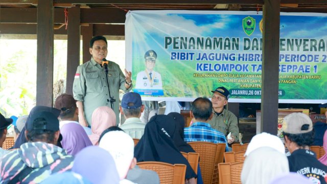 Bupati Barru Suardi Saleh Tanam Jagung di Kecamatan Tanete Riaja.