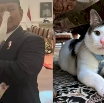 Bobby Kertanegara si Kucing Istana Negara, Berani Gigit Pipi dan Pencet Hidung Prabowo: Love!
