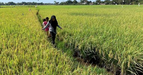 Di Era Andalan Ekonomi Sulsel Tumbuh Baik, Guru Besar : Berhasil Bangkit Pascacovid Itu Luar Biasa