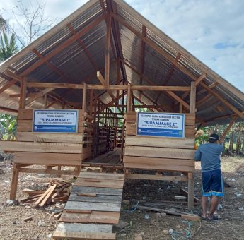 Intervensi Kemiskinan Ekstrem, Bantuan Keuangan Rp 500 Juta era Andi Sudirman Berhasil Geliatkan Ekonomi Desa di Luwu