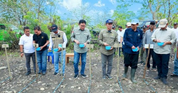 Bupati Barru Tanam Jagung Bersama dan Berikan Bantuan untuk Petani di Tanete Riaja