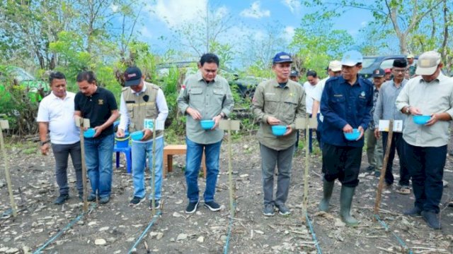 Bupati Barru Tanam Jagung Bersama dan Berikan Bantuan untuk Petani di Tanete Riaja