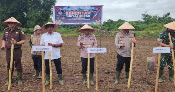 Pangkep Dukung Swasembada Pangan, Ketua DPRD Haris Gani-Wabup Syahban Sammana Ikut Tanam Jagung Serentak