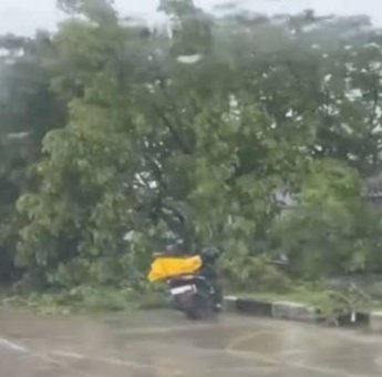 Jalan Poros Makassar-Barru di Awarange Macet 2 Km, Ada Pohon Tumbang