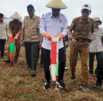 Penanaman Jagung Serentak 1 Juta Hektar Di Desa Bolli Kecamatan Cina