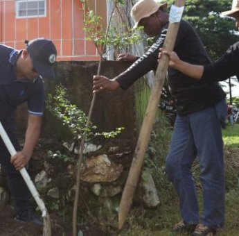 Dukung Ruang Terbuka Hijau, DLH Makassar Gelar Penanaman Pohon Dalam Peringatan HPSN 2025