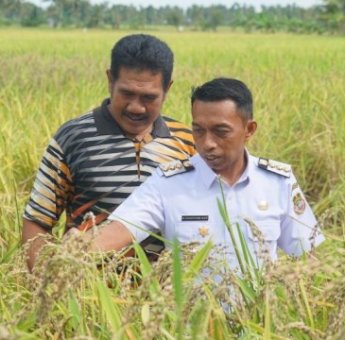 Syaharuddin Alrif Dorong Petani Sidrap Gunakan Pupuk Organik