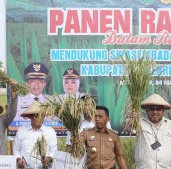 Bupati Sidrap Syaharuddin Alrif Dampingi Dirjen PSP Kementan Panen Padi di Allakuang