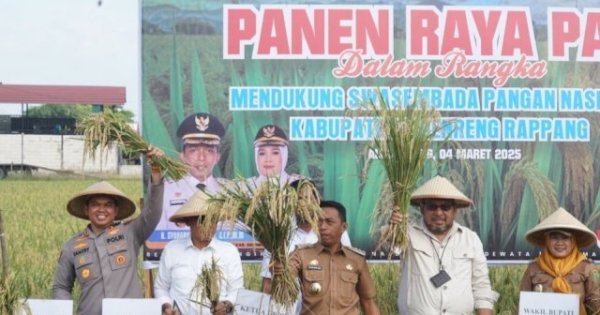 Bupati Sidrap Syaharuddin Alrif Dampingi Dirjen PSP Kementan Panen Padi di Allakuang