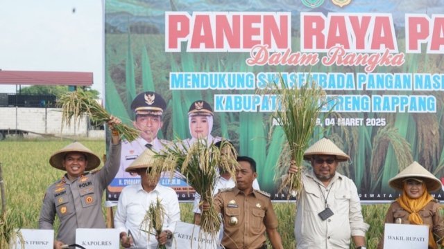 Panen Raya di Kabupaten Sidrap.