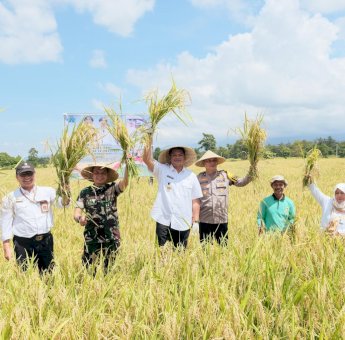 Panen Raya Padi Serentak, Bantaeng Nyaris Capai Target GKP