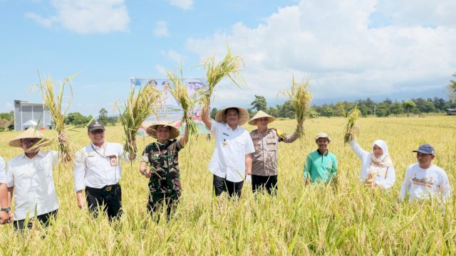 Panen Raya Padi Serentak, Bantaeng Nyaris Capai Target GKP