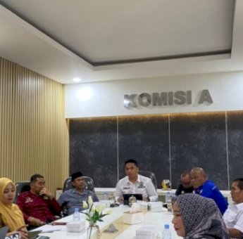 RDP RSUD Sawerigading Tertunda, DPRD Palopo Minta Data yang Lengkap