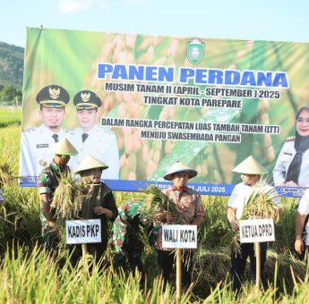 Tasming Hamid Wujudkan Janji Politik, Petani Parepare Nikmati Asuransi dan Panen Benih Perdana