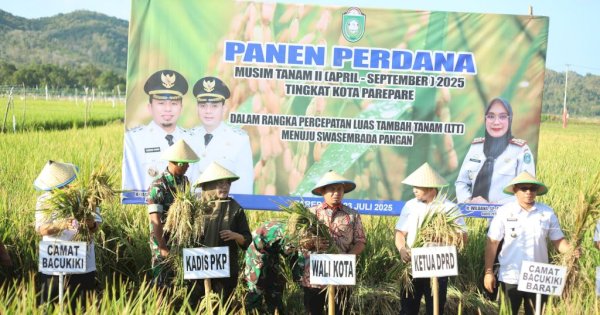 Tasming Hamid Wujudkan Janji Politik, Petani Parepare Nikmati Asuransi dan Panen Benih Perdana