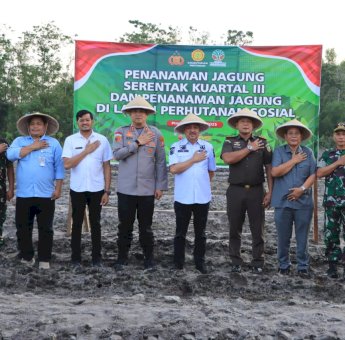 Bupati Pinrang Ikuti Tanam Jagung Serentak, Dorong Ketahanan Pangan Nasional