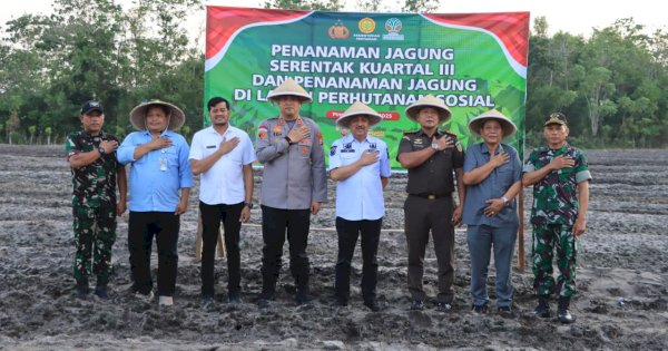 Bupati Pinrang Ikuti Tanam Jagung Serentak, Dorong Ketahanan Pangan Nasional
