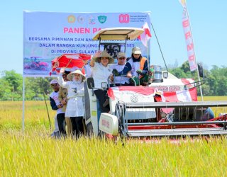 Fatmawati Rusdi: Sulawesi Selatan Catat Surplus Beras 1,21 Juta Ton pada Tahun Ini