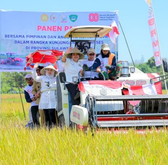 Fatmawati Rusdi: Sulawesi Selatan Catat Surplus Beras 1,21 Juta Ton pada Tahun Ini