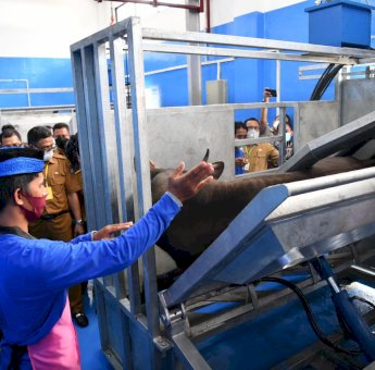 DPRD Makassar: Status Rumah Potong Hewan Perlu Dikaji